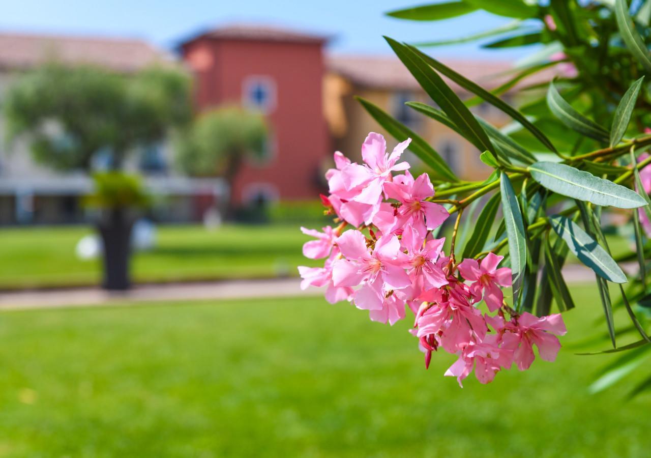 TH Lazise - Hotel Parchi Del Garda Esterno foto